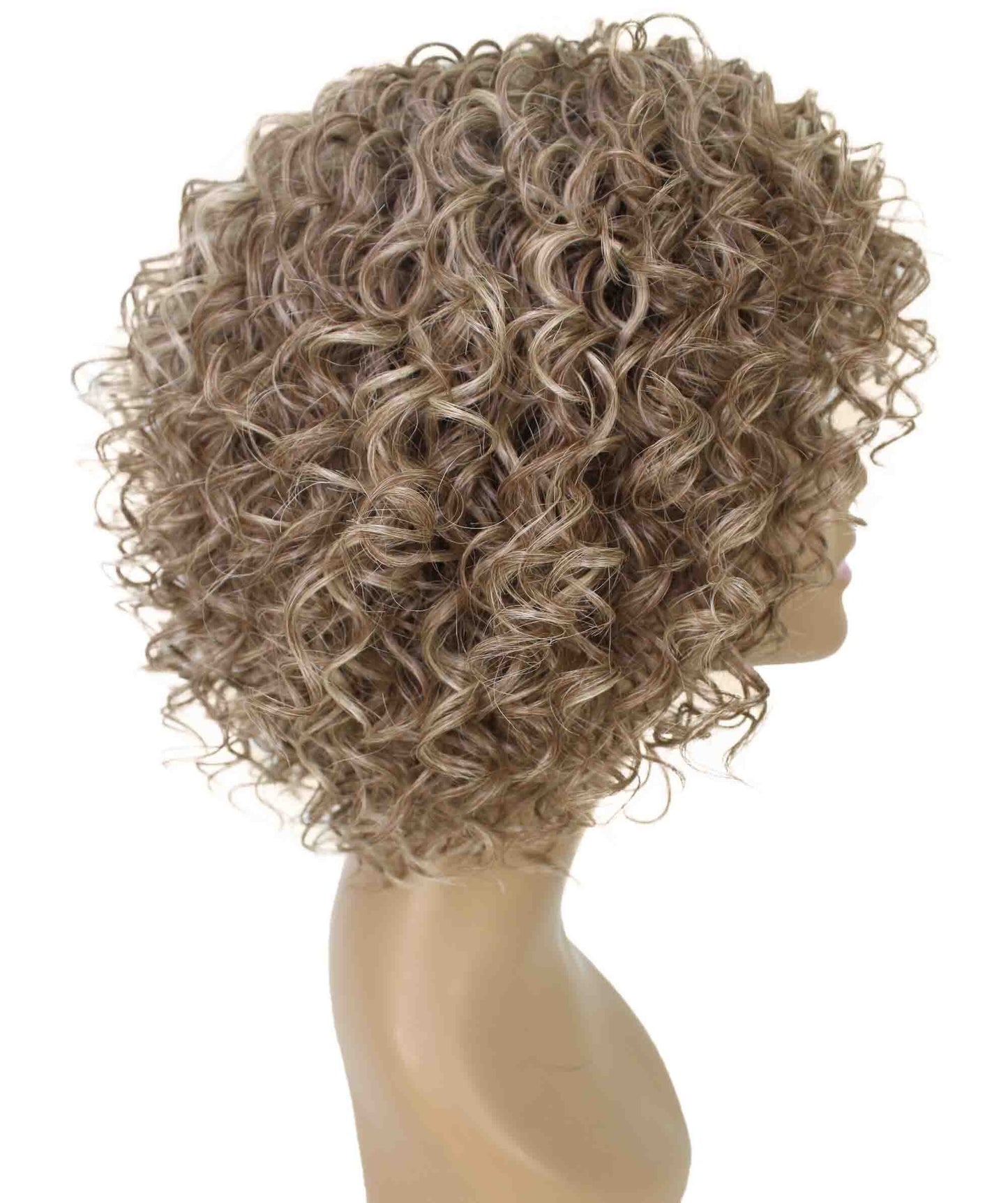 #FS8/613 - Brown and Blonde Highlights