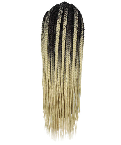 #TT4/613 - Black to Blonde Ombre