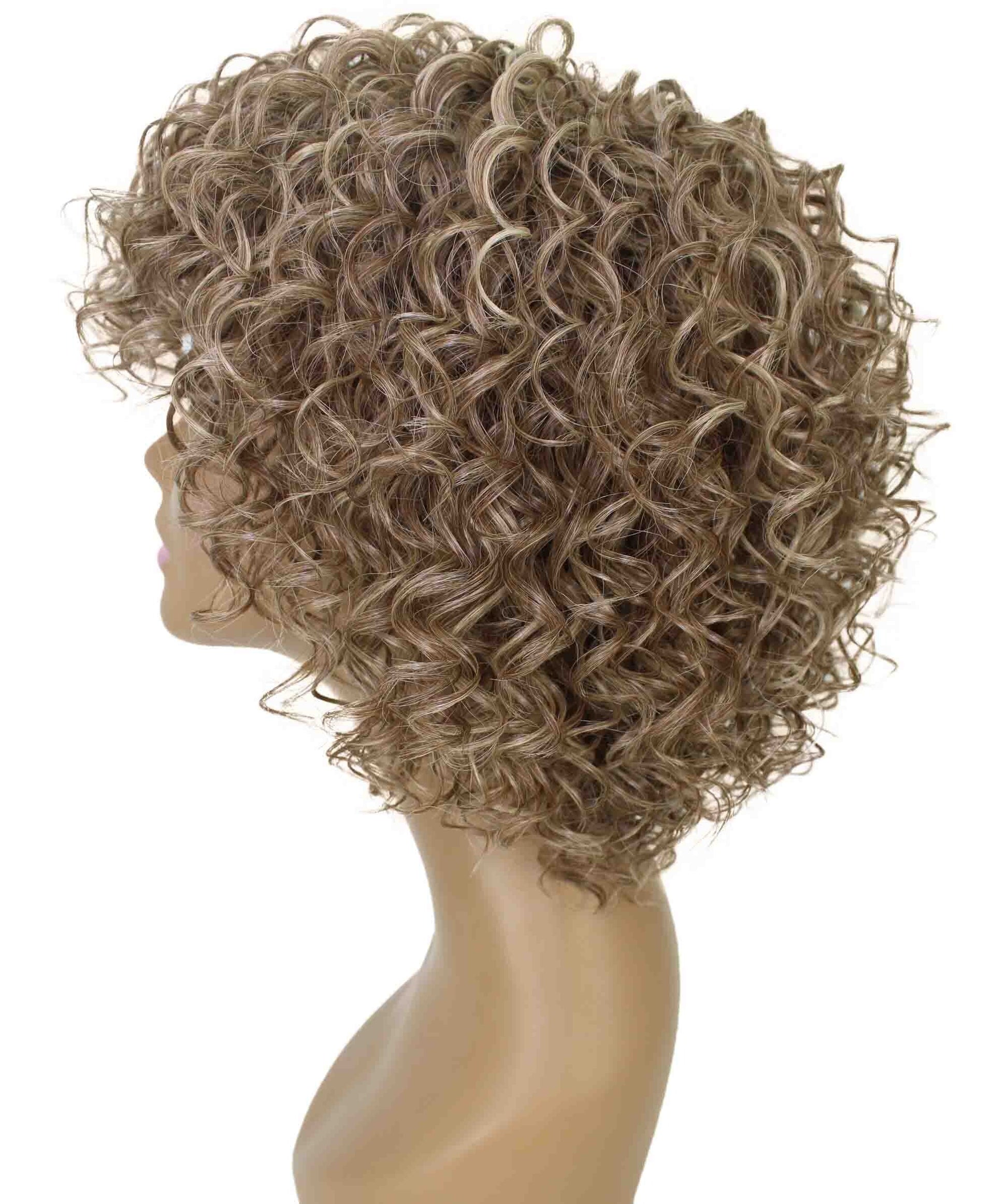 #FS8/613 - Brown and Blonde Highlights