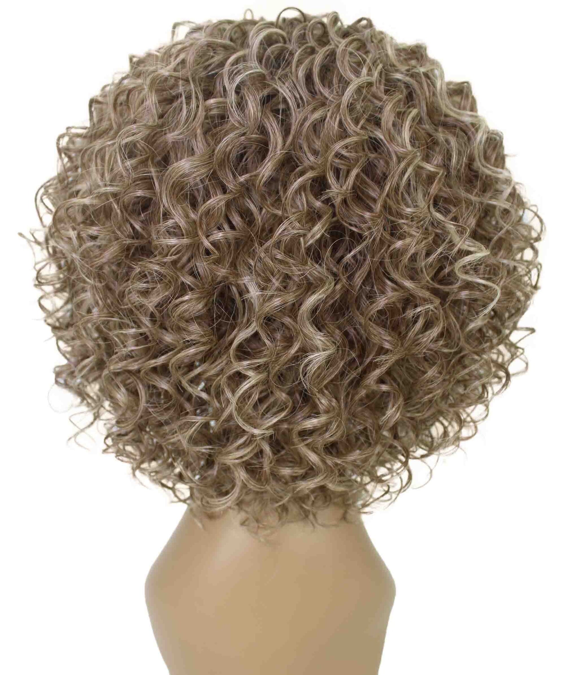 #FS8/613 - Brown and Blonde Highlights